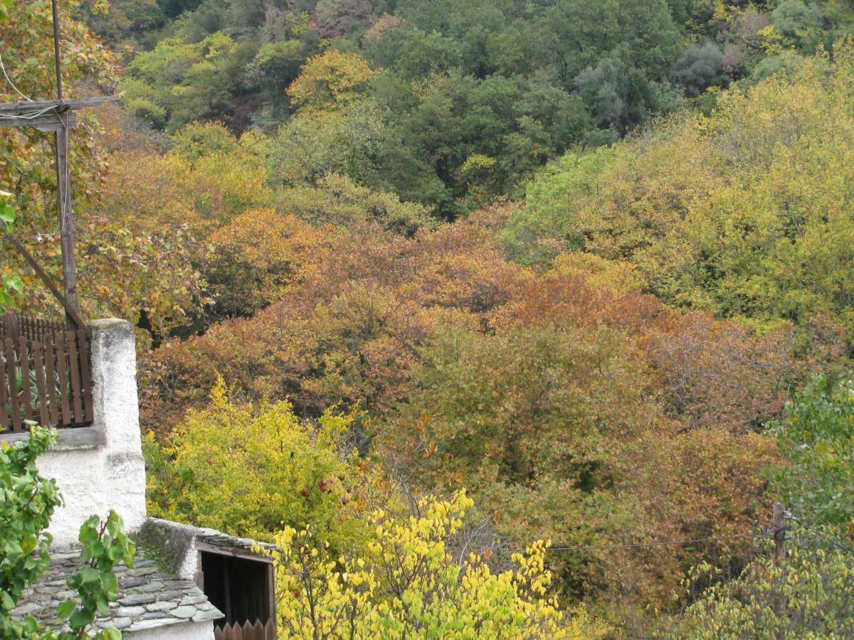 Koukourava Garden Villa Makrinitsa Exterior photo